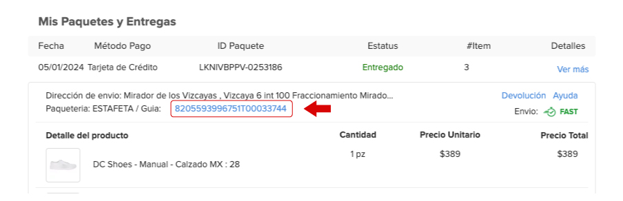 Consulta de paquetes